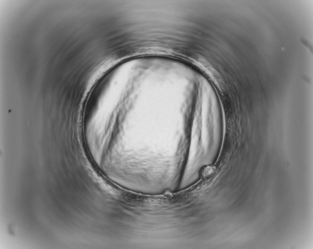 X0000097001379200802221511