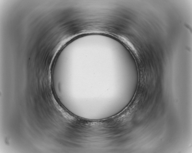 X0000097001380200802221511