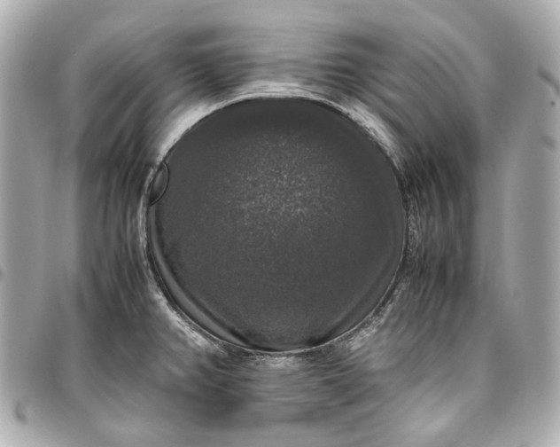 X0000097001382200802221511