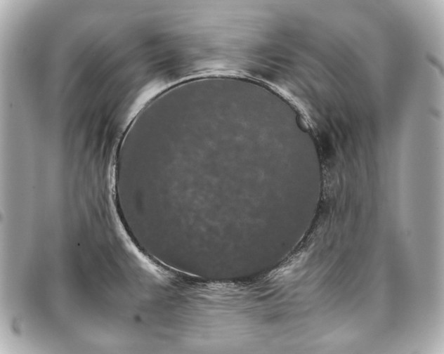 X0000097001383200802221511