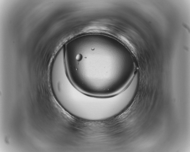 X0000097001384200802221511