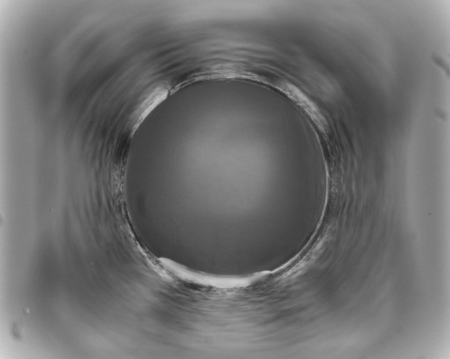 X0000097001385200802221511