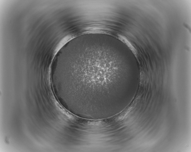 X0000097001386200802221511