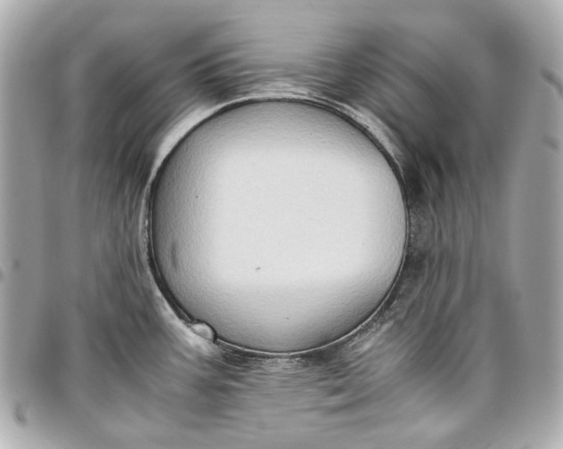 X0000097001387200802221511