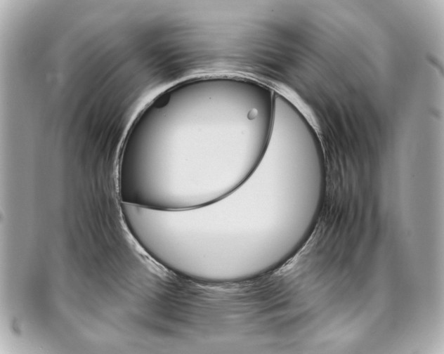 X0000097001388200802221511