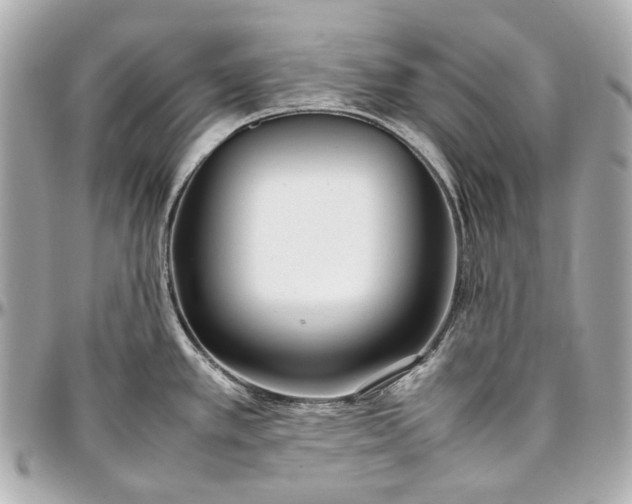 X0000097001389200802221511