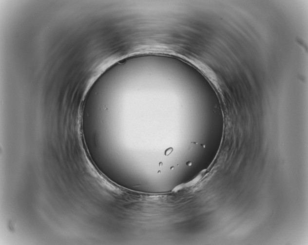 X0000097001390200802221511