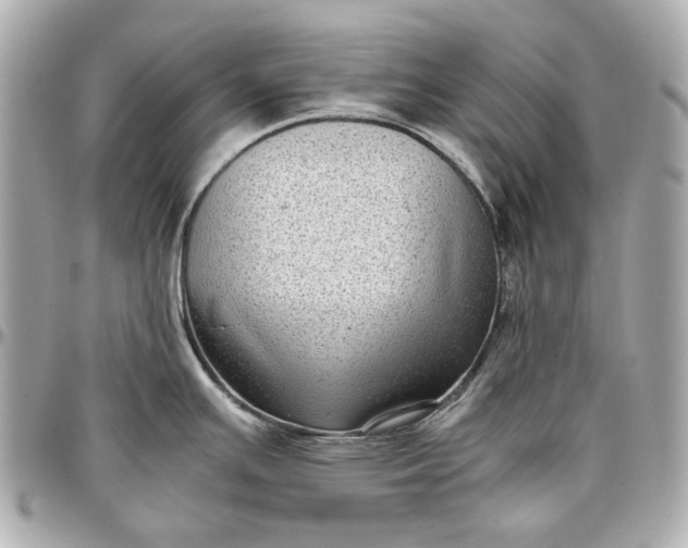 X0000097001391200802221511