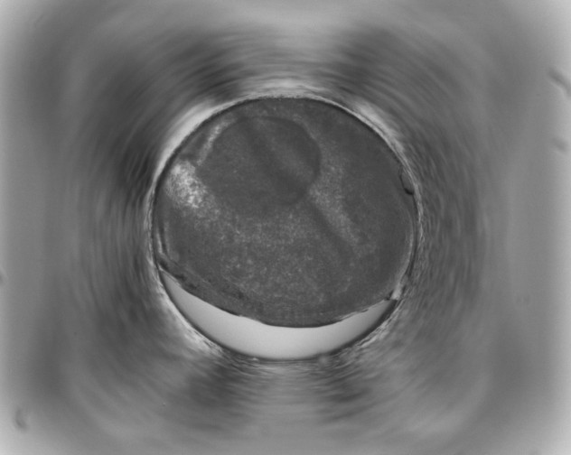 X0000097001392200802221511