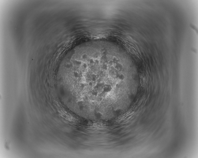 X0000097001393200802221511