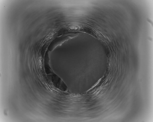 X0000097001394200802221511