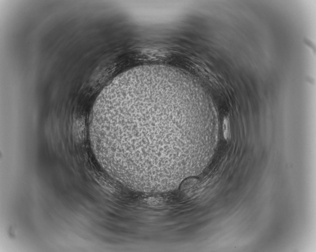 X0000097001395200802221511