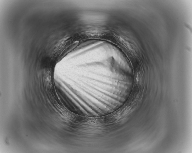 X0000097001396200802221511