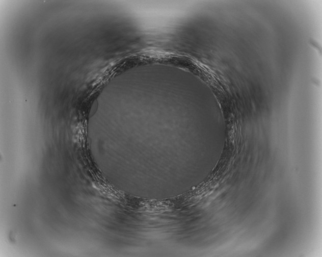 X0000097001397200802221511