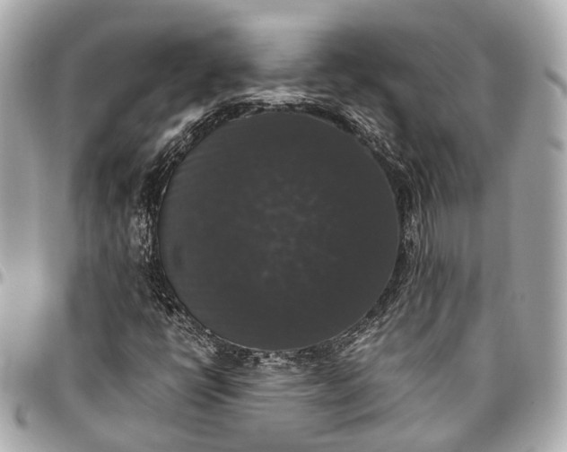 X0000097001398200802221511