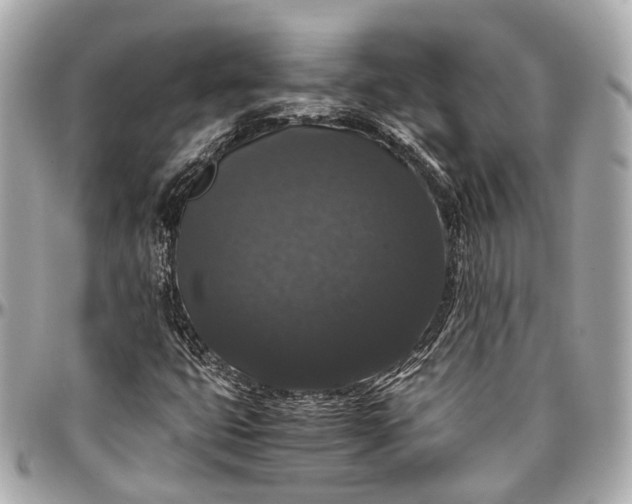 X0000097001399200802221511