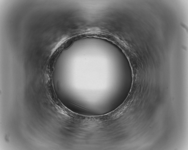 X0000097001400200802221511