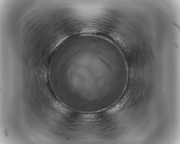 X0000097001401200802221511