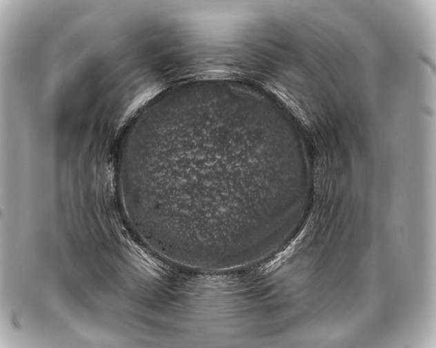 X0000097001402200802221511