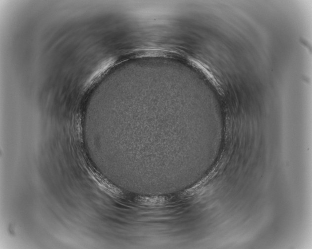 X0000097001403200802221511