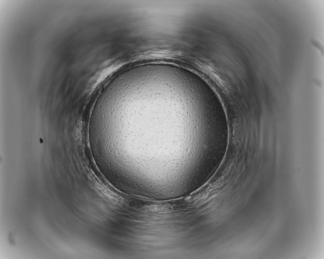 X0000097001404200802221511