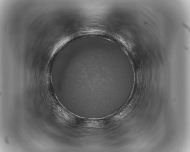 X0000097001405200802221511