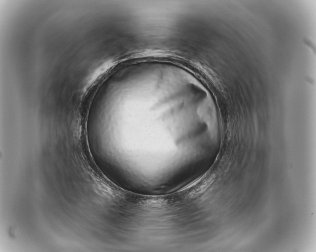 X0000097001406200802221511