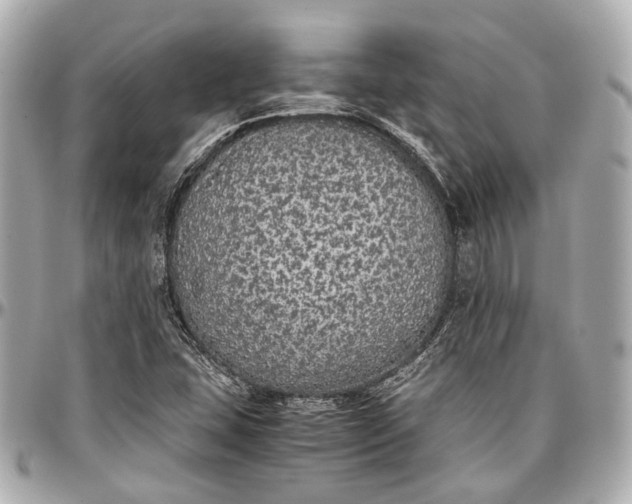 X0000097001407200802221511