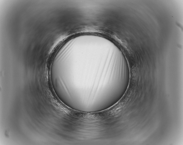 X0000097001408200802221511