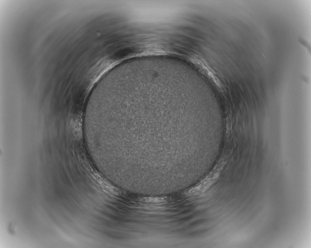 X0000097001409200802221511