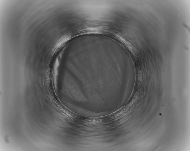 X0000097001411200802221511