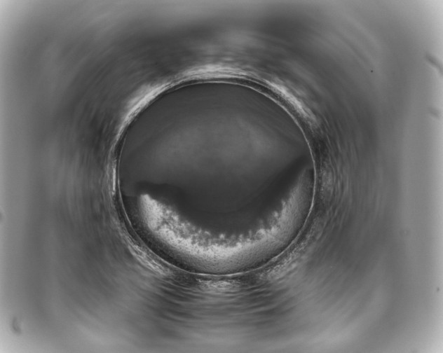 X0000097001413200802221511