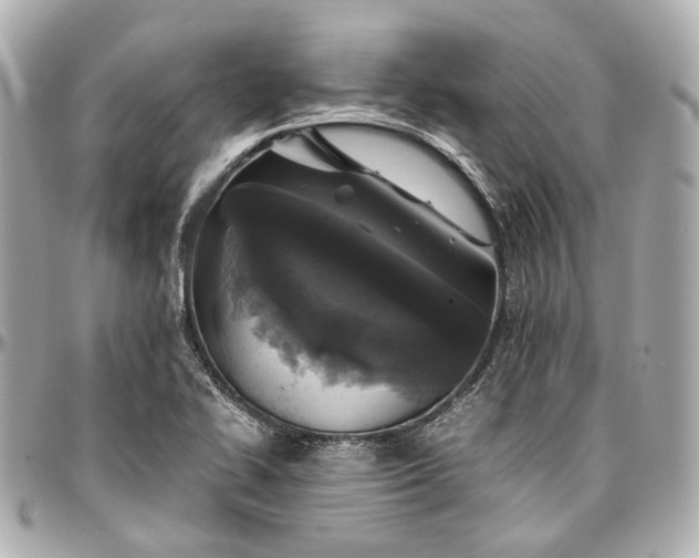 X0000097001414200802221511