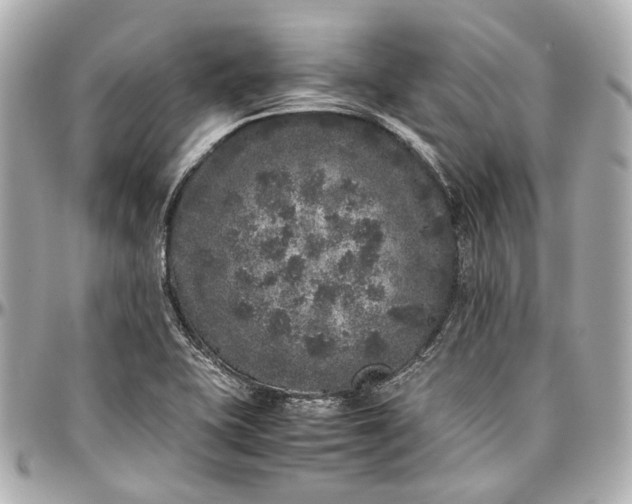 X0000097001415200802221511