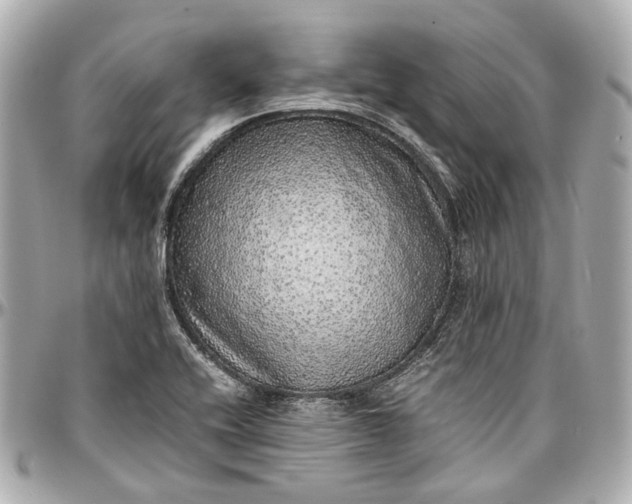 X0000097001416200802221511