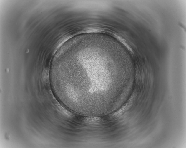 X0000097001417200802221511