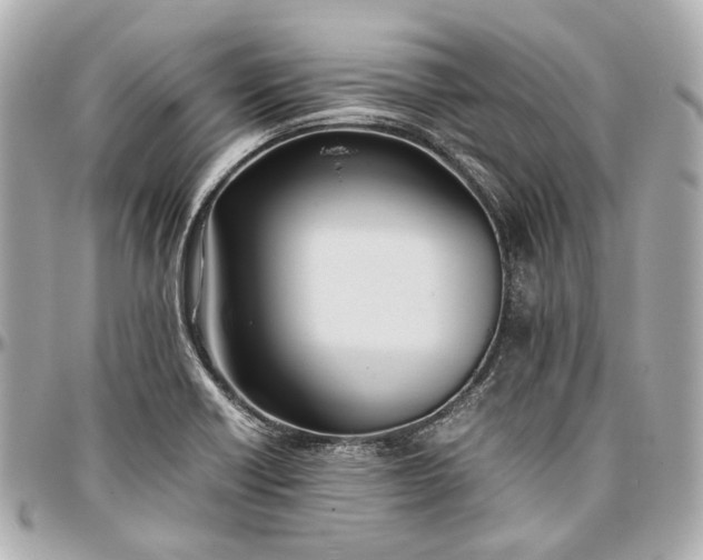 X0000097001418200802221511