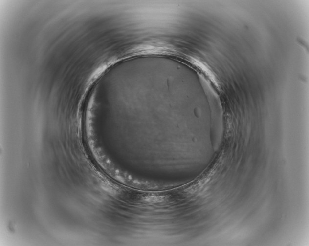 X0000097001419200802221511