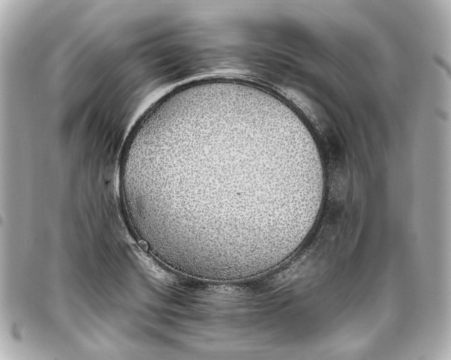 X0000097001420200802221511