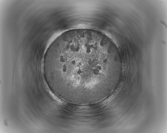 X0000097001421200802221511