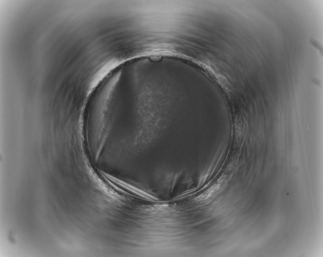 X0000097001422200802221511