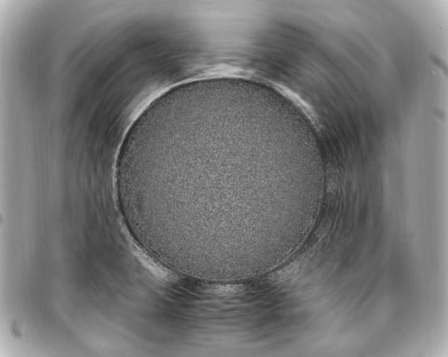 X0000097001423200802221511