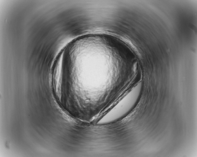 X0000097001424200802221511