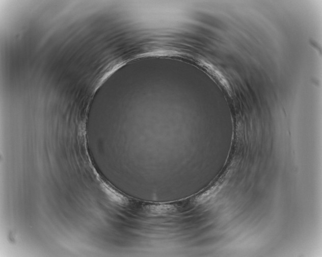 X0000097001425200802221511