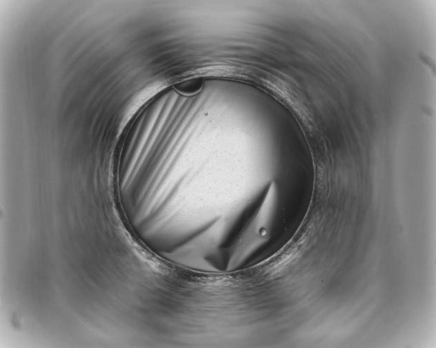 X0000097001426200802221511