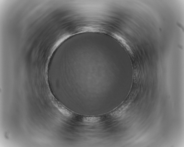 X0000097001427200802221511