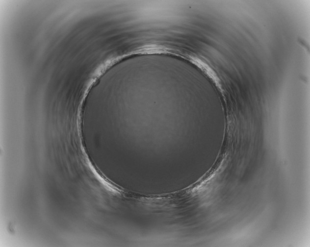 X0000097001429200802221511