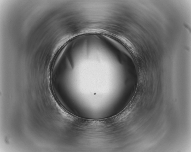 X0000097001430200802221511