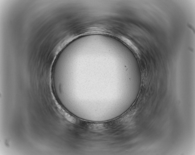 X0000097001431200802221511