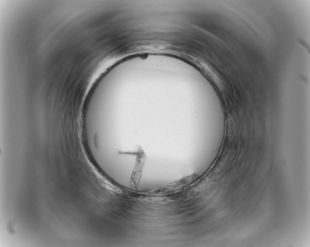 X0000097001432200802221511